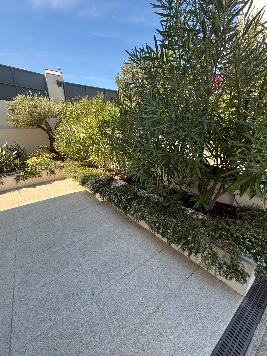 Planting bed and shrubs